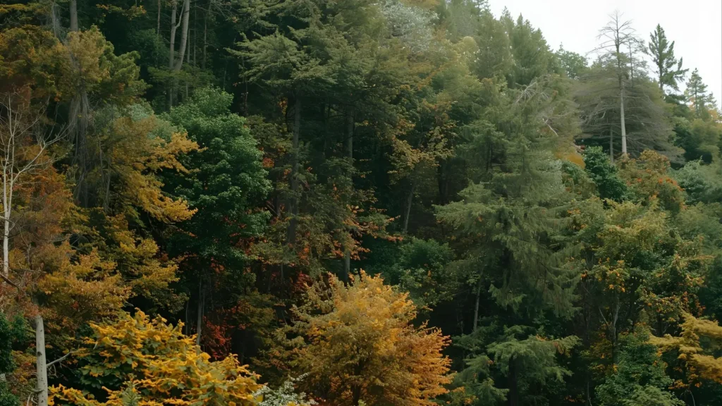 Caption About Nature for Instagram
