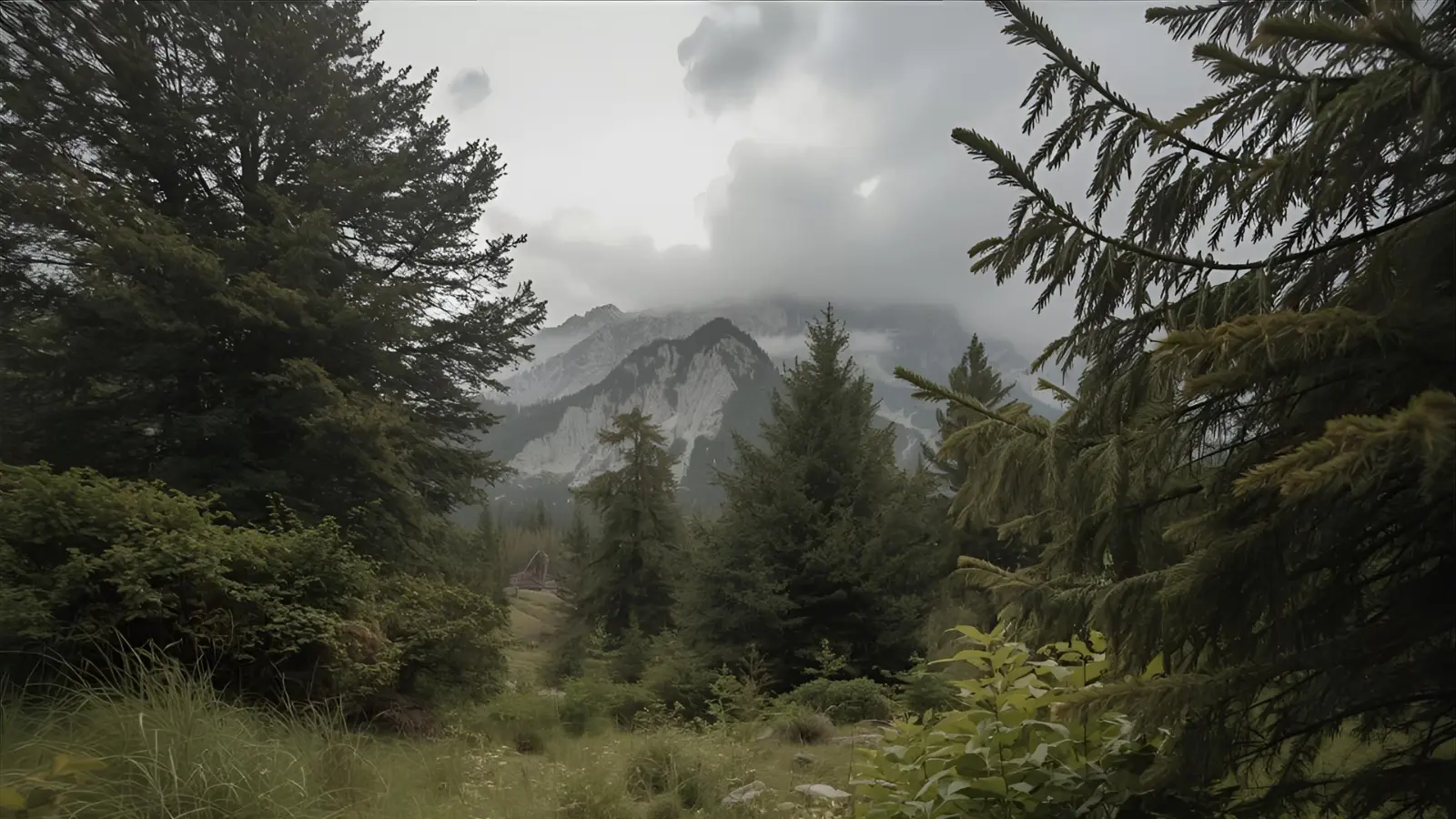 Nature Instagram Captions