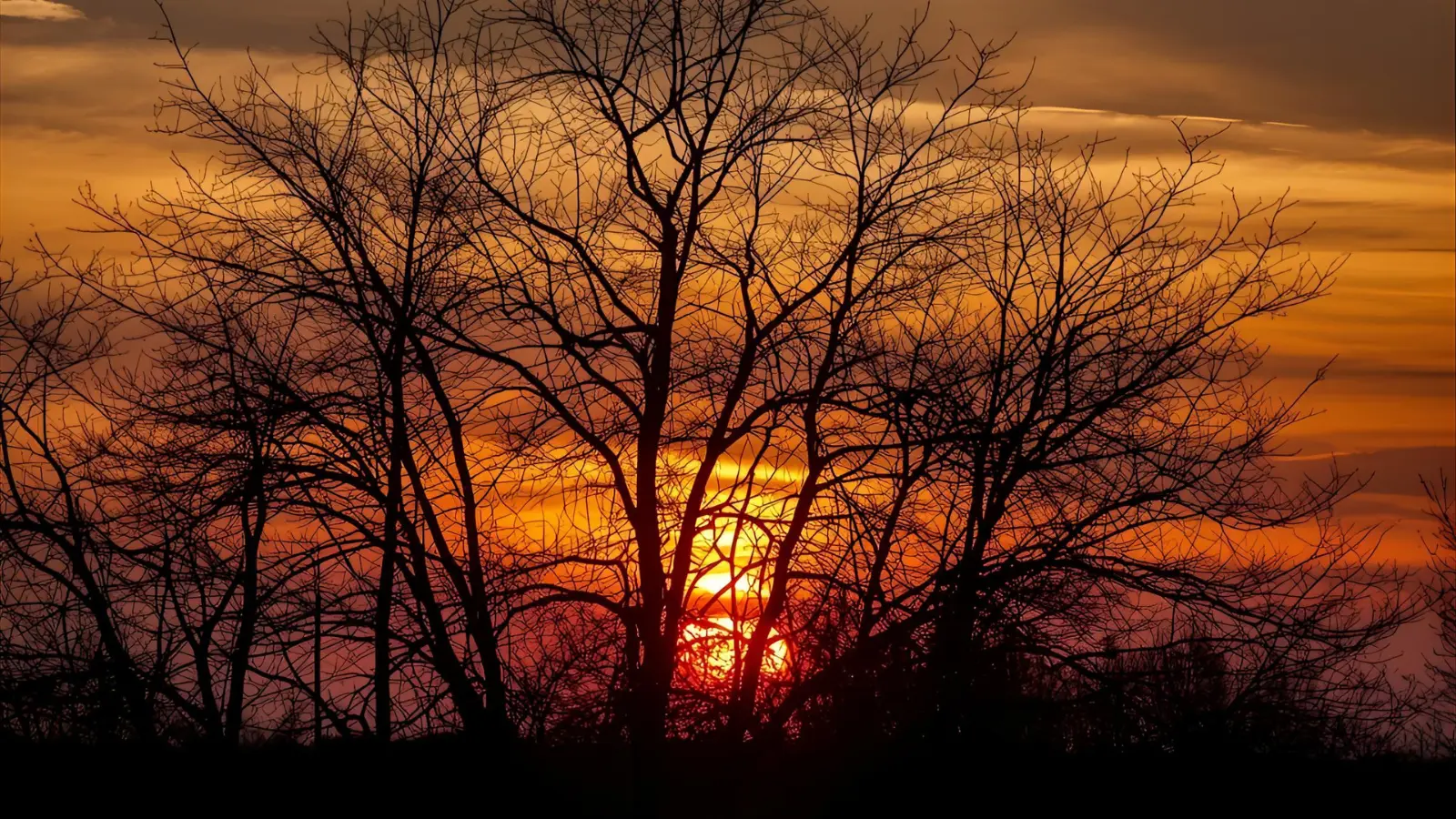 Sunset Captions Instagram