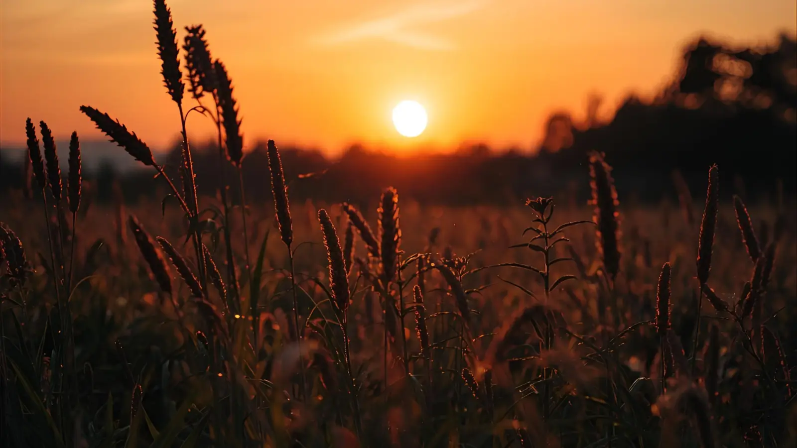 End of Summer Instagram Captions