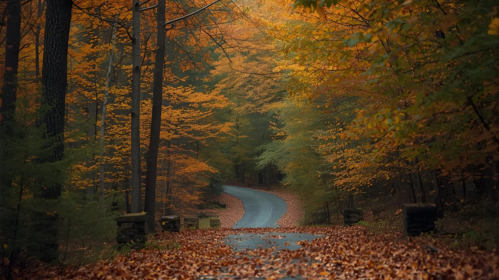 Fall Captions Instagram