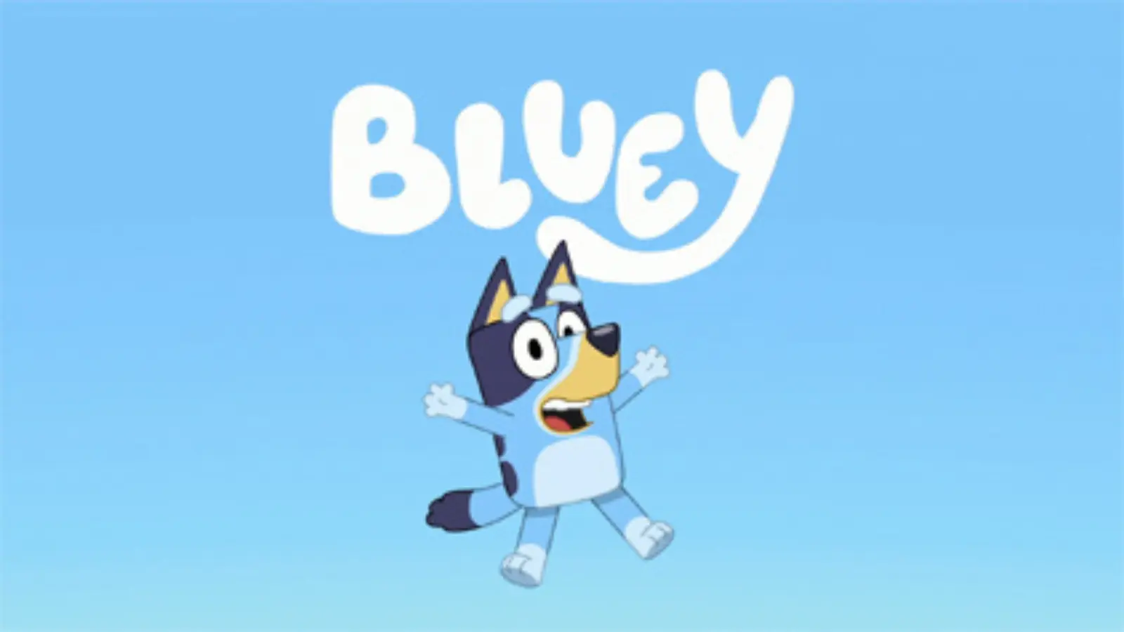 Bluey Characters