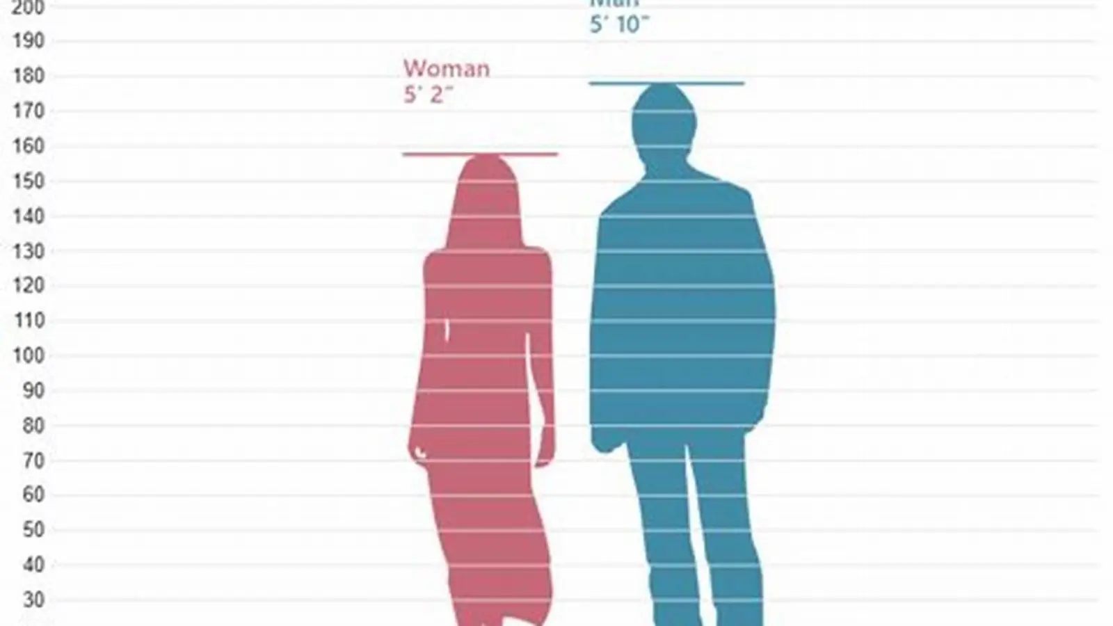Height Calculator