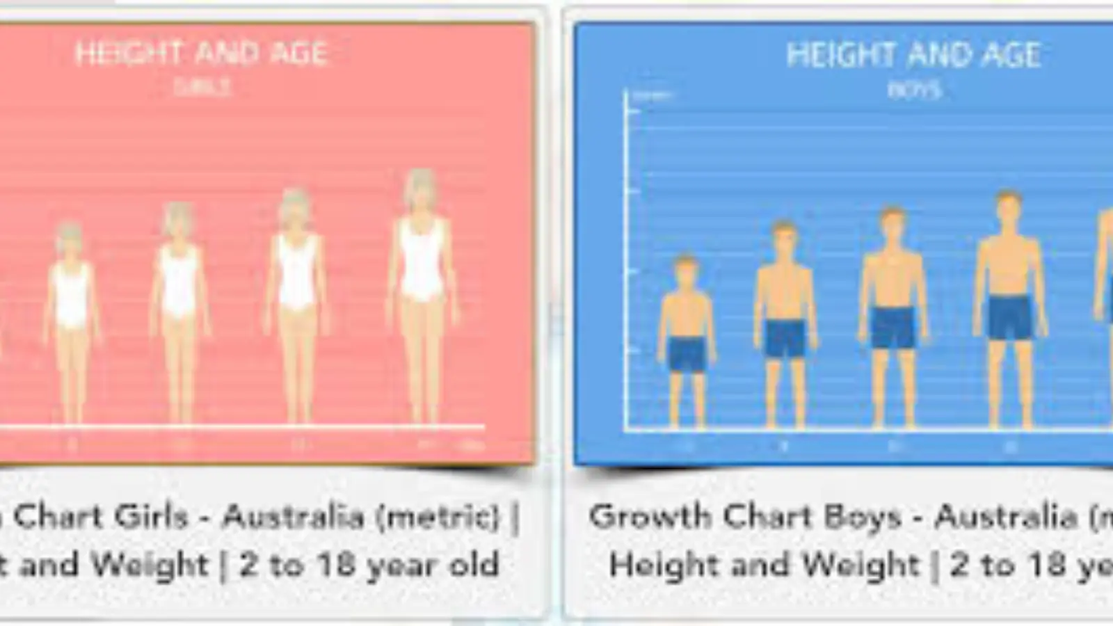 What is the average height for a 13 year old